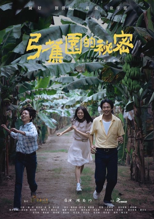 Secrets of 1979 movie poster