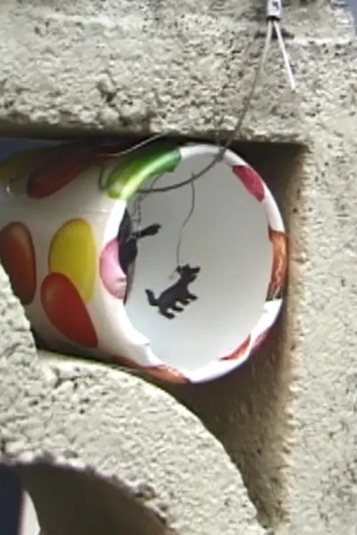 Scrap Festival Document movie poster