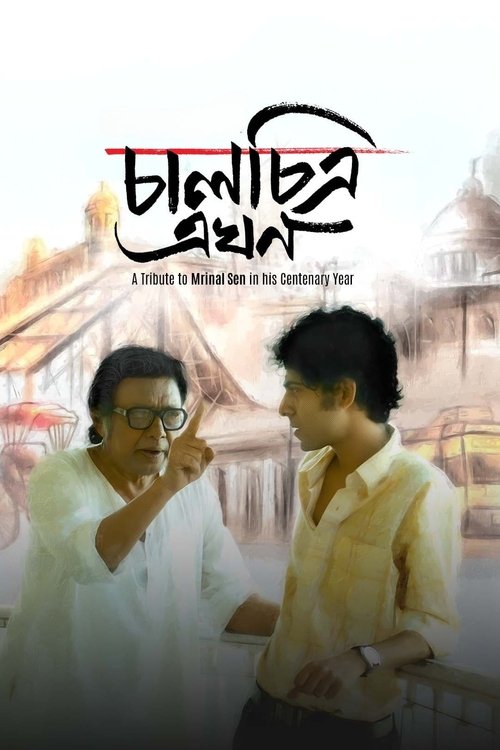 Kaleidoscope Now movie poster