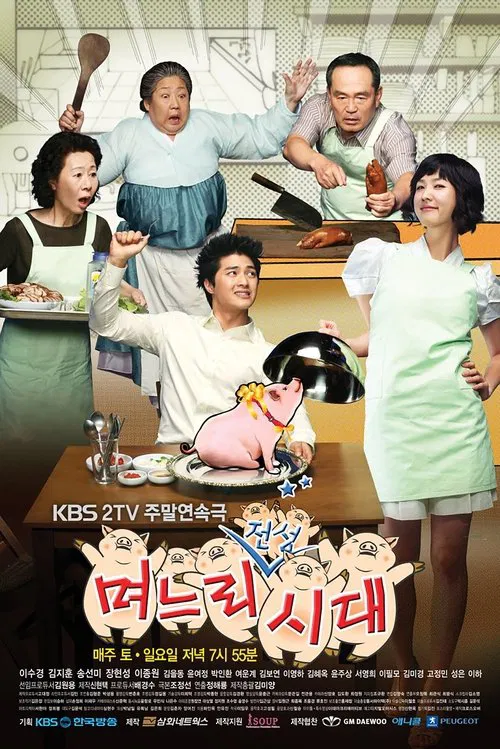 Daughters-in-Law tv show poster