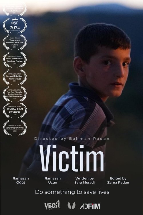 Victim movie poster