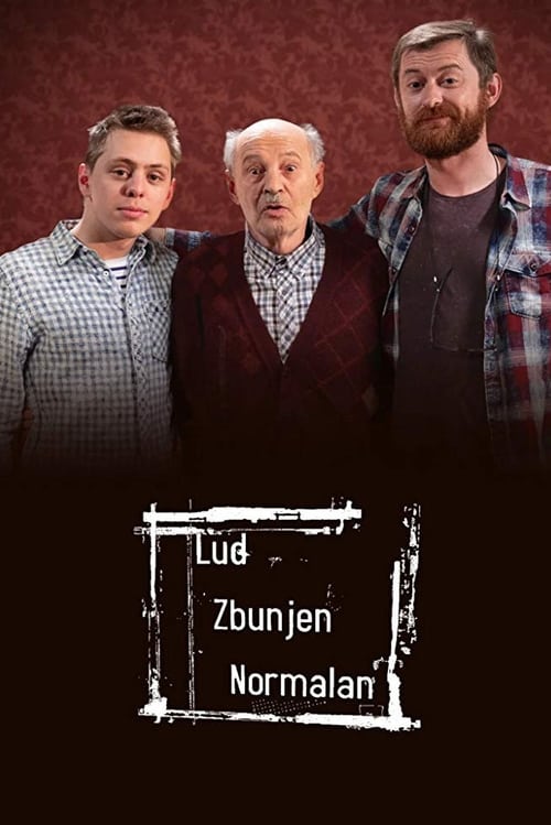 Crazy, Confused, Normal tv show poster