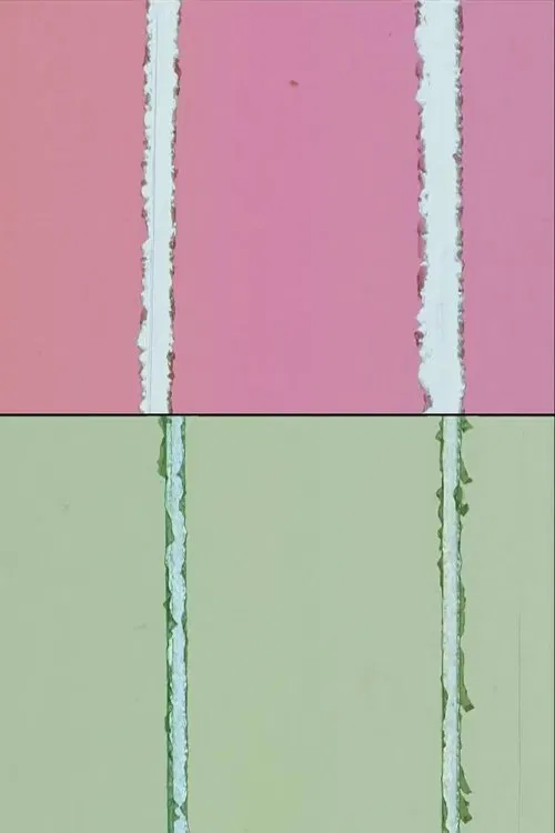 Red & Green movie poster