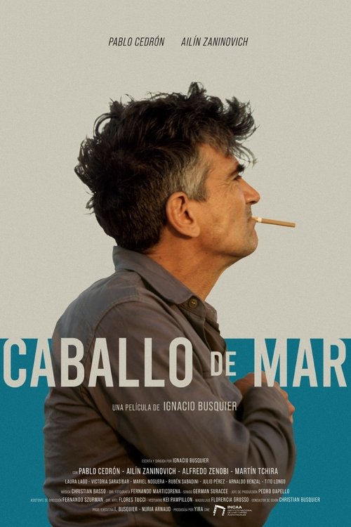 Caballo de mar movie poster