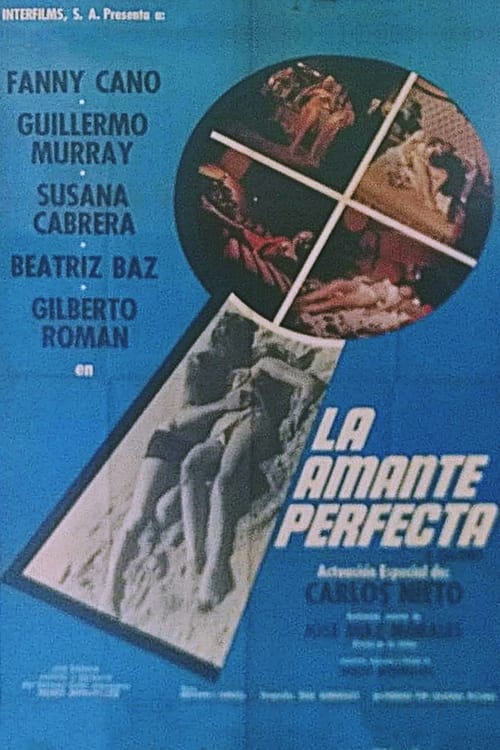 The Perfect Lover movie poster