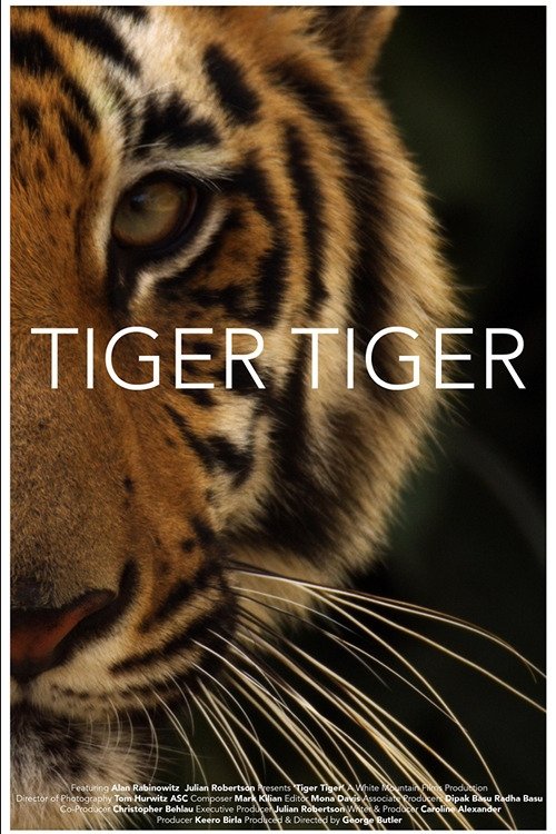 Tiger Tiger movie poster