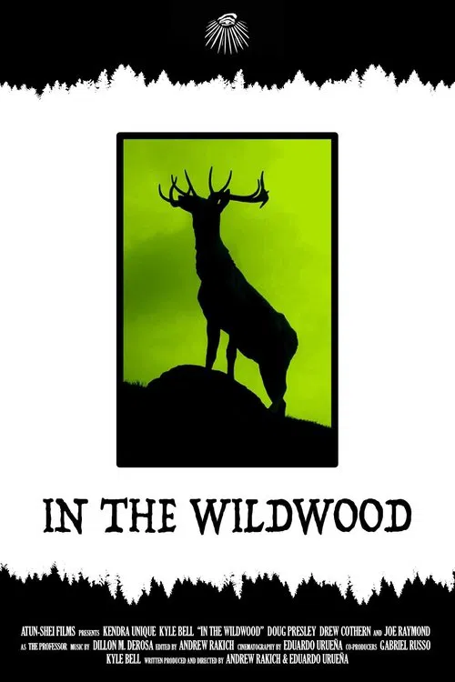 In the Wildwood movie poster