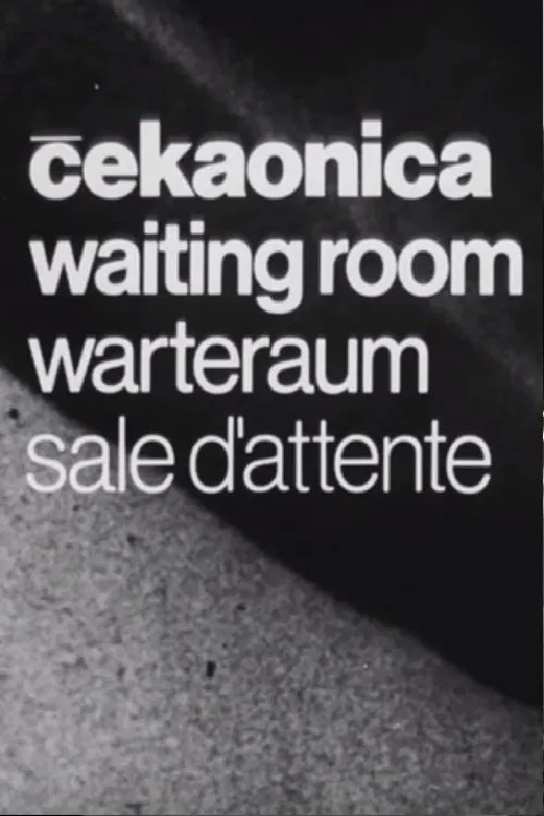 Waiting Room movie poster