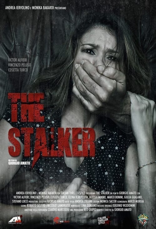 The Stalker movie poster