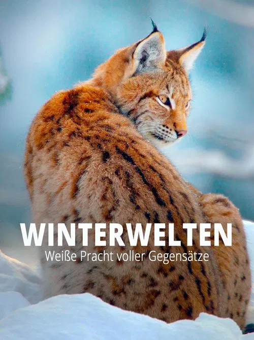 Terra X - Wilde Winterwelten movie poster