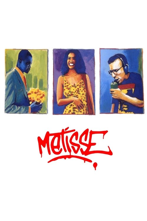 Poster do filme Métisse