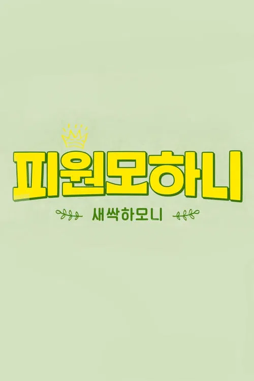 Saessak Harmony tv show poster