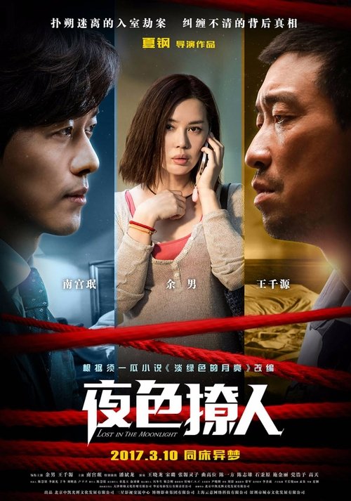 Lost in the Moonlight movie poster