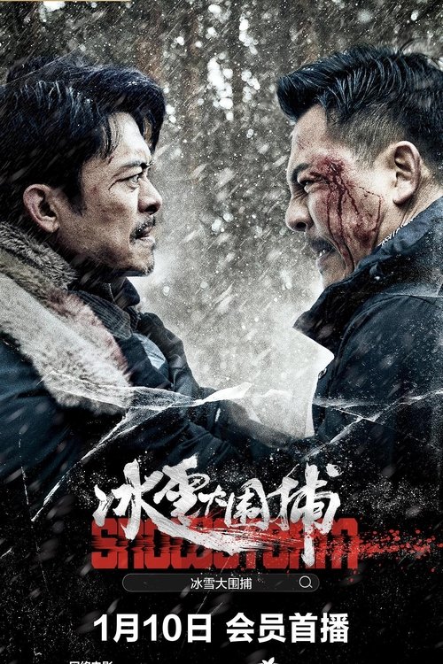 Snowstorm movie poster