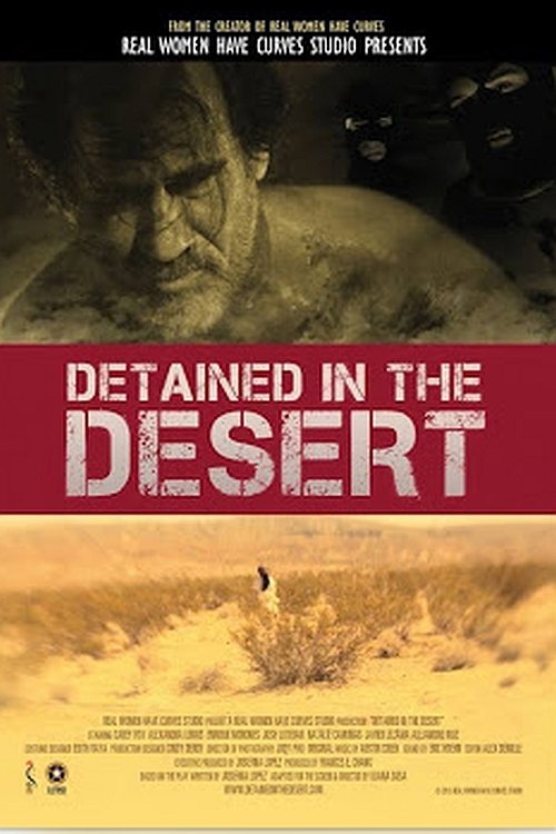 Detained in the Desert movie poster