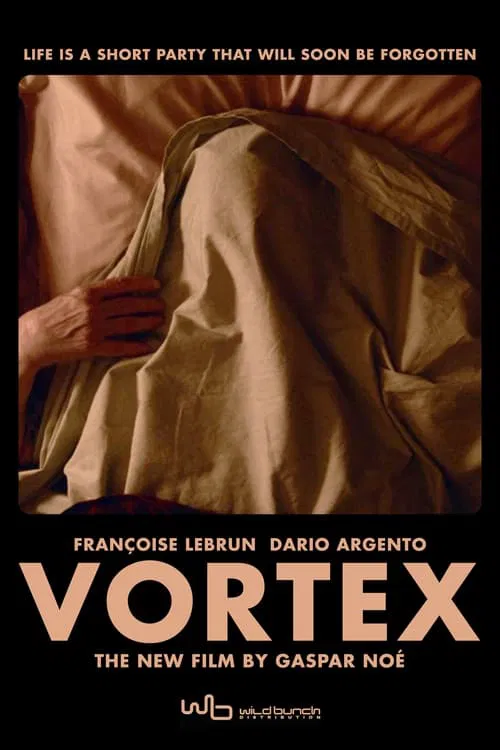 Poster do filme Vórtex