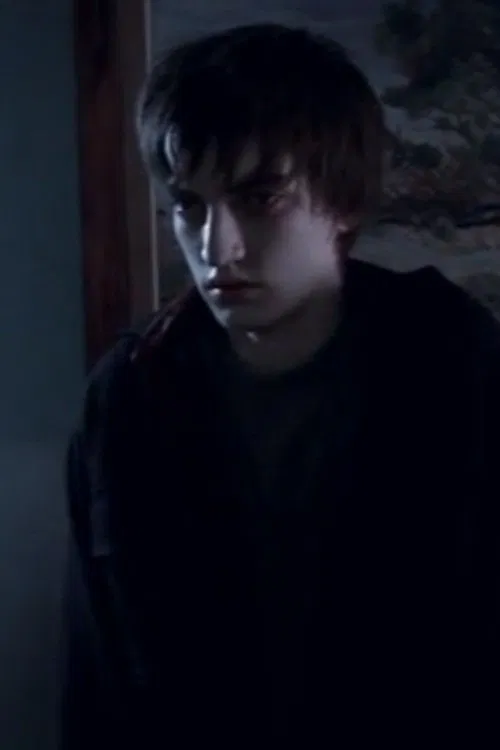 The Ambassador movie poster