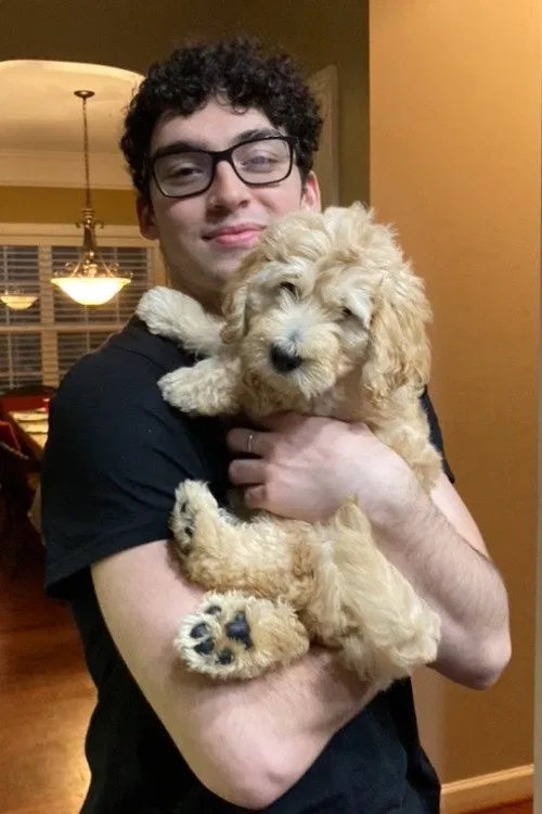 Vincent Dormani profile picture