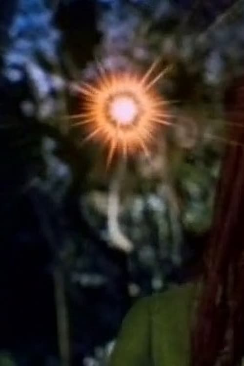 Poster do filme Hinekaro Goes on a Picnic and Blows Up Another Obelisk