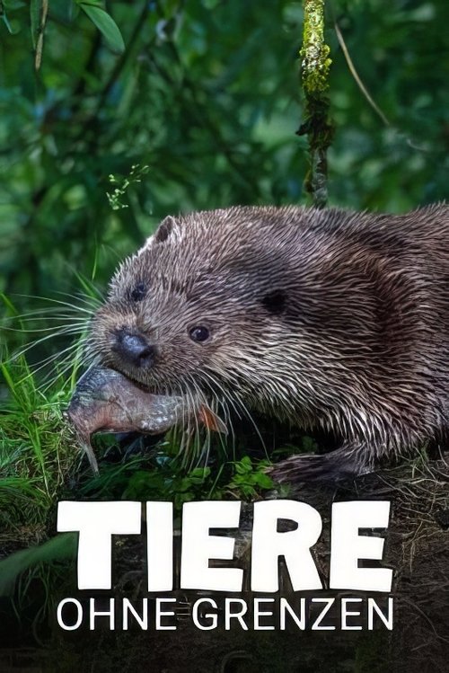 Tiere ohne Grenzen movie poster