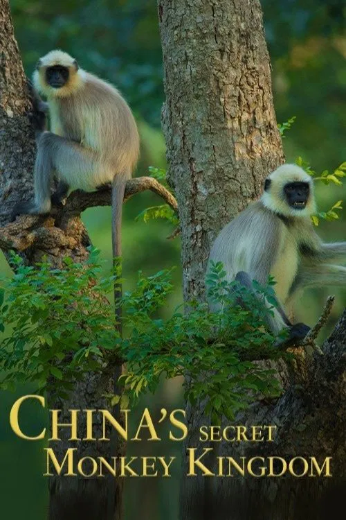 China's Secret Monkey Kingdom movie poster
