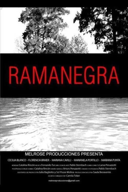 Poster do filme Ramanegra