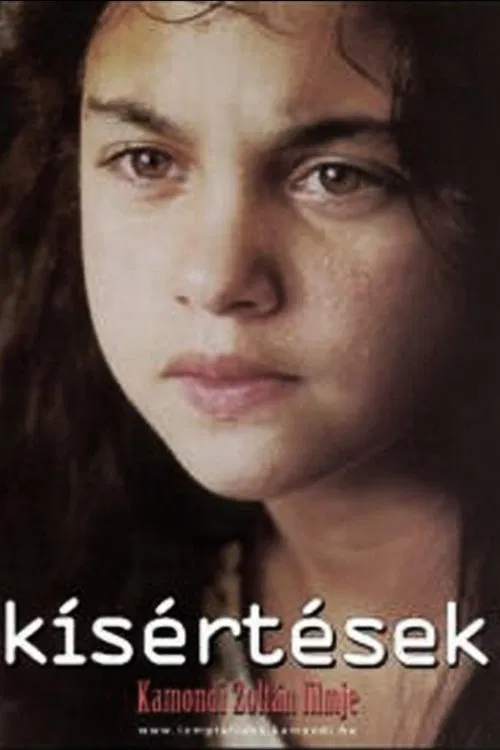 Temptations movie poster