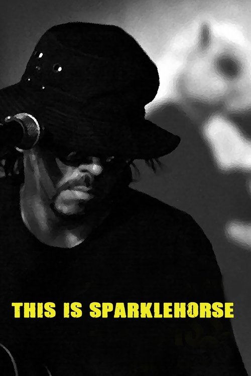 This Is Sparklehorse movie poster