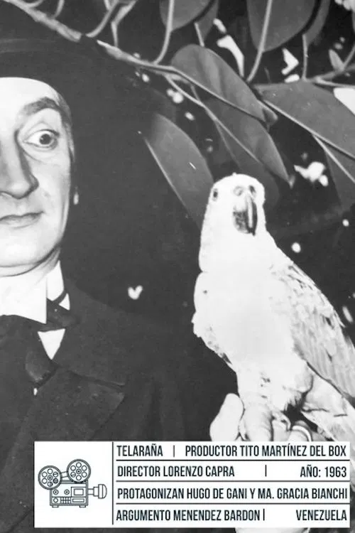 Telaraña movie poster