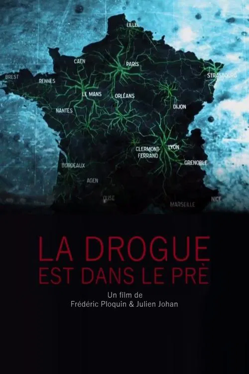 Poster do filme La drogue est dans le pré