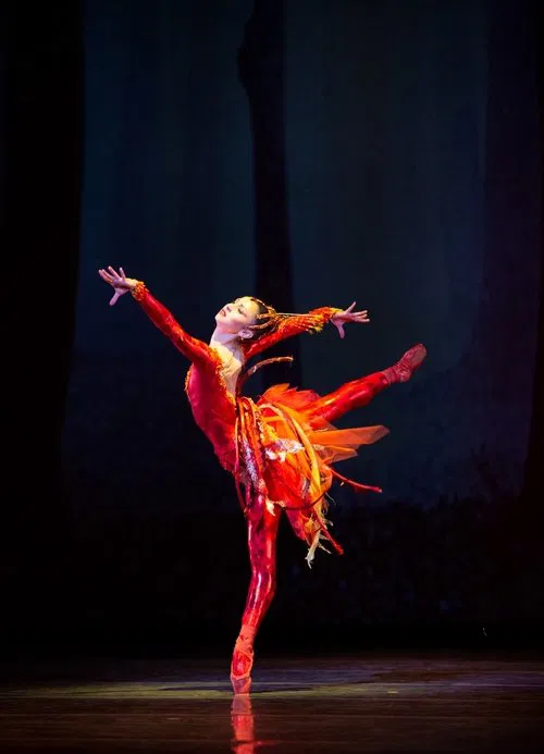 Miami City Ballet's The Firebird movie poster