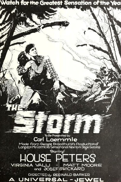 The Storm movie poster