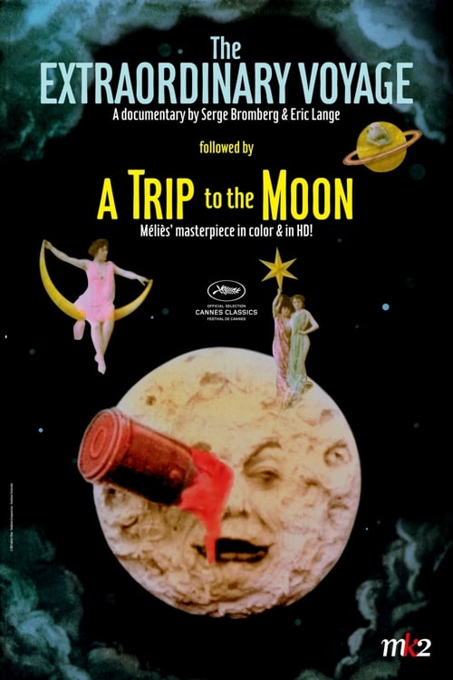 The Extraordinary Voyage movie poster