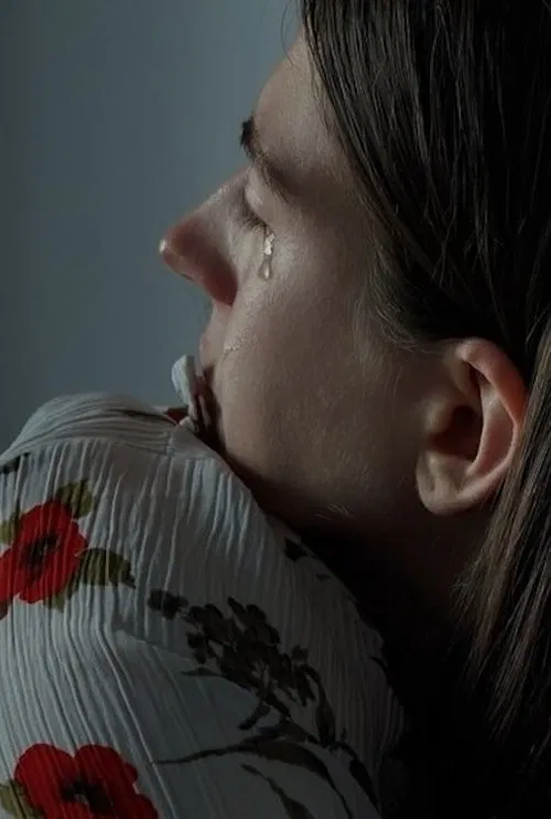 Poster do filme Home is 1117 km away