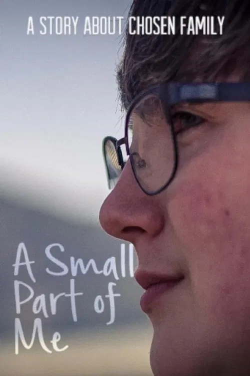 Poster do filme A Small Part of Me