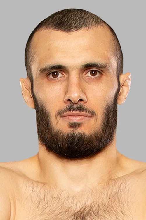 Islam Mamedov profile picture