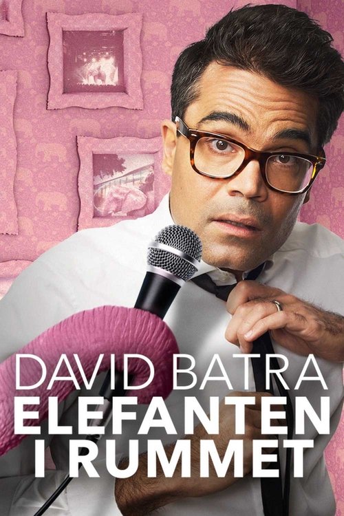David Batra: Elephant in The Room movie poster
