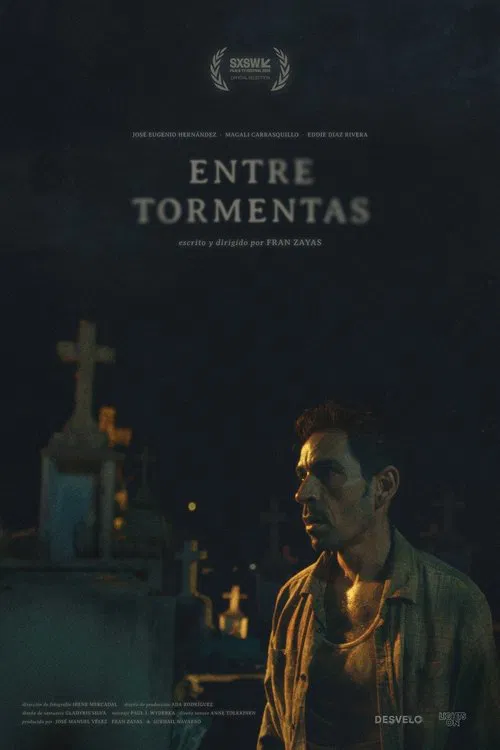 In Between Storms movie poster