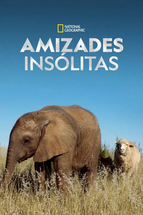 Poster da série Amizades Insólitas