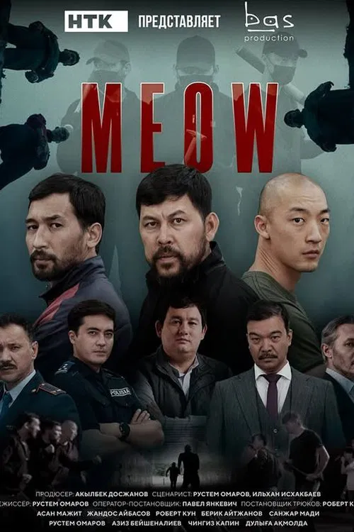 MEOW tv show poster
