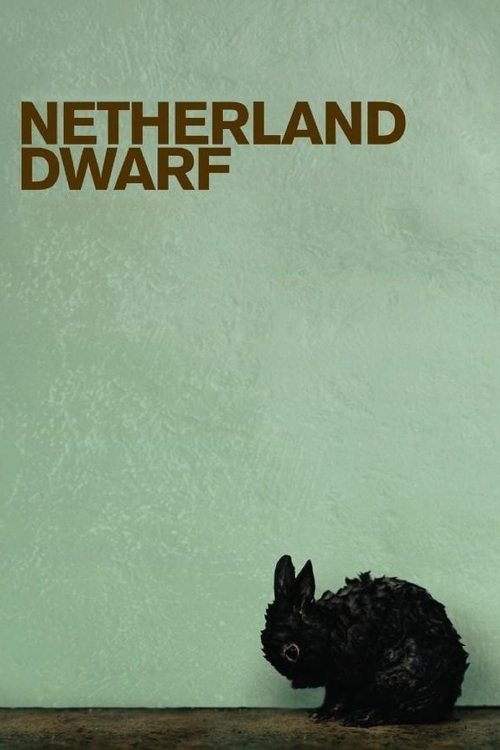Netherland Dwarf movie poster
