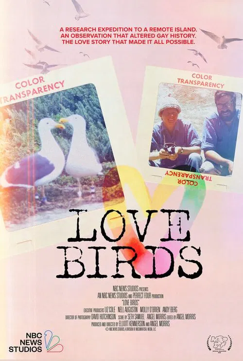 Love Birds movie poster