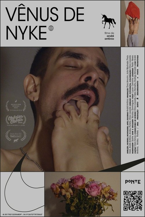 Poster do filme Venus in Nykes