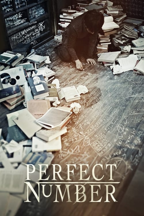 Perfect Number movie poster