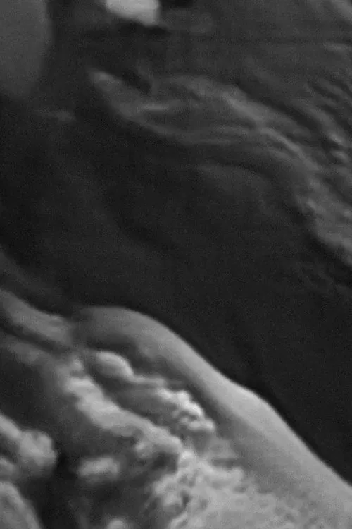 Untitled 5 (Not now. No, no.) movie poster