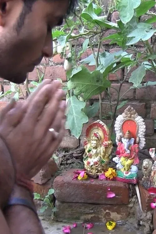 An Indian Love Story movie poster