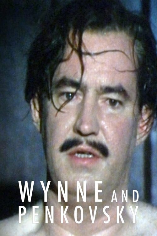 Wynne and Penkovsky tv show poster