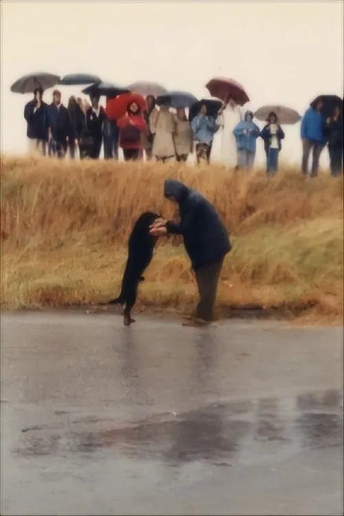 Poster do filme Strada provinciale delle Anime