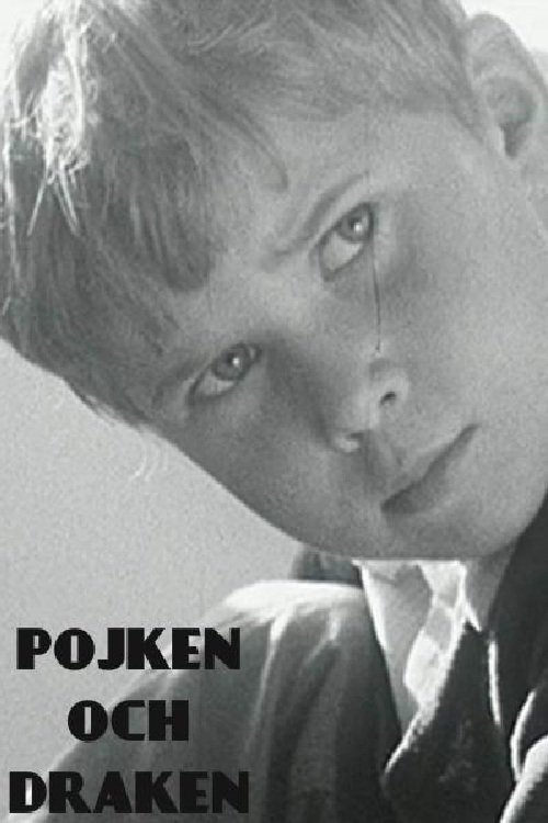 The Boy and the Kite movie poster