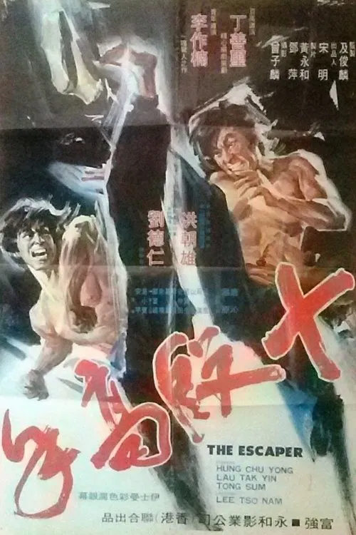The Escaper movie poster